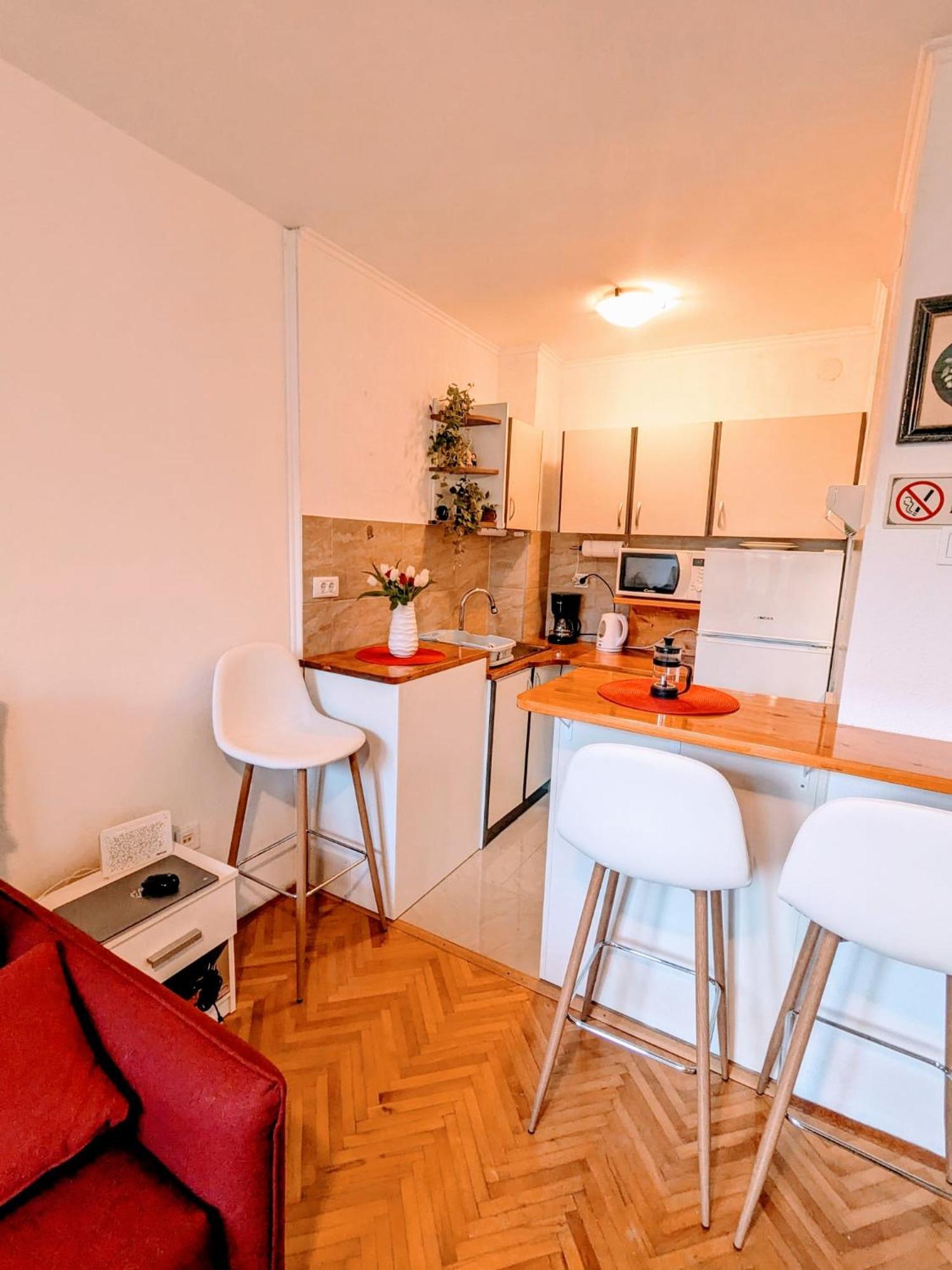 Demass Apartment - Cozy, Free Parking And Wifi Dubrovnik Bagian luar foto