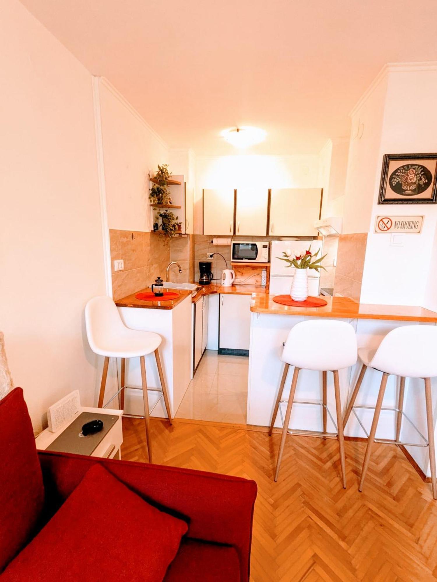 Demass Apartment - Cozy, Free Parking And Wifi Dubrovnik Bagian luar foto